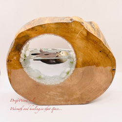 一つ限りの流木アート 海に浮かぶラッコ ジオラマ 流木 フィギュア 置物 インテリア レジン テラリウム 生き物 N36 3枚目の画像