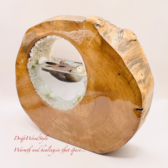 一つ限りの流木アート 海に浮かぶラッコ ジオラマ 流木 フィギュア 置物 インテリア レジン テラリウム 生き物 N36 5枚目の画像