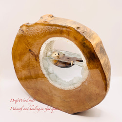 一つ限りの流木アート 海に浮かぶラッコ ジオラマ 流木 フィギュア 置物 インテリア レジン テラリウム 生き物 N36 8枚目の画像