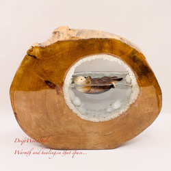 一つ限りの流木アート 海に浮かぶラッコ ジオラマ 流木 フィギュア 置物 インテリア レジン テラリウム 生き物 N36 7枚目の画像