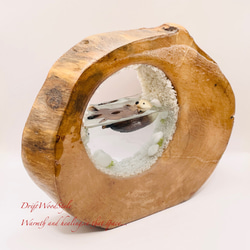 一つ限りの流木アート 海に浮かぶラッコ ジオラマ 流木 フィギュア 置物 インテリア レジン テラリウム 生き物 N36 4枚目の画像