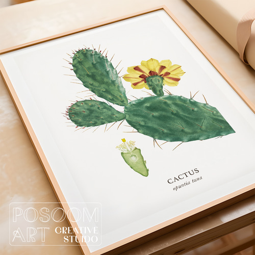 サボテン図鑑アートポスター ウチワサボテン 植物画｜クラシカル