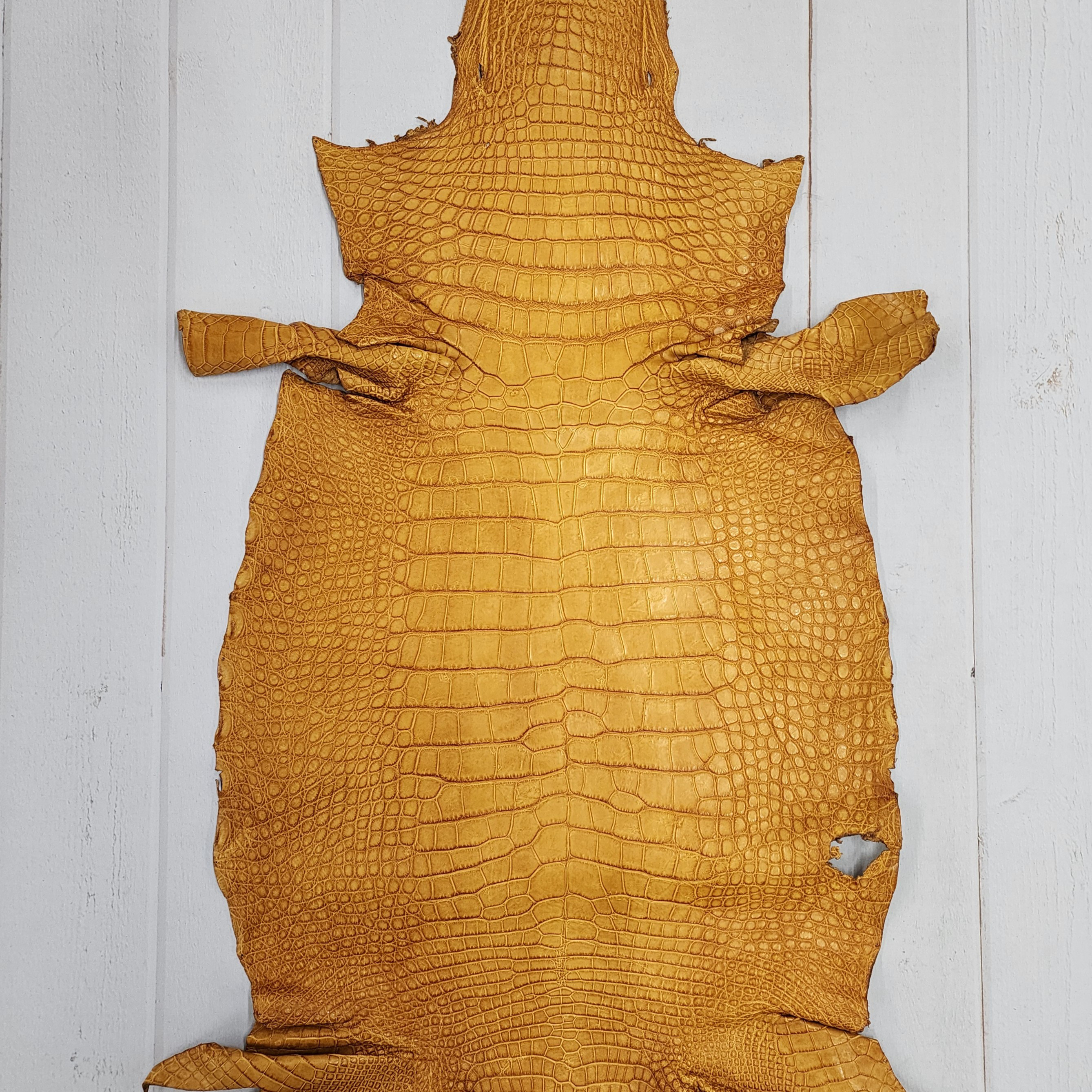 ワニ革　クレイフィニッシュ　タバック　No.C009296