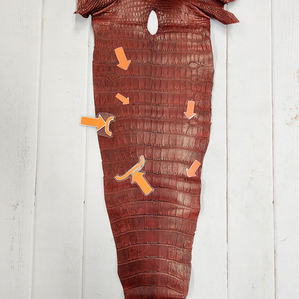 ワニ革　クレイフィニッシュ　レッドブラウン　No.C009301 17枚目の画像