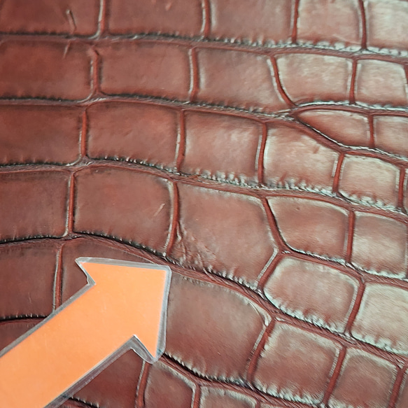 ワニ革　クレイフィニッシュ　レッドブラウン　No.C009301 13枚目の画像
