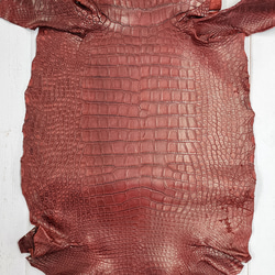 ワニ革　クレイフィニッシュ　レッドブラウン　No.C009301 4枚目の画像