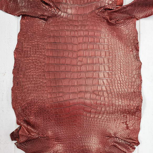 ワニ革　クレイフィニッシュ　レッドブラウン　No.C009301 4枚目の画像