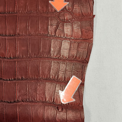 ワニ革　クレイフィニッシュ　レッドブラウン　No.C009301 20枚目の画像