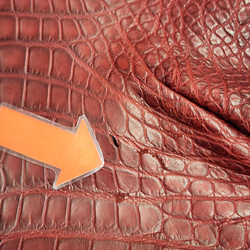 ワニ革　クレイフィニッシュ　レッドブラウン　No.C009301 16枚目の画像