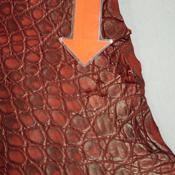 ワニ革　クレイフィニッシュ　レッドブラウン　No.C009301 14枚目の画像