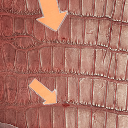 ワニ革　クレイフィニッシュ　レッドブラウン　No.C009301 18枚目の画像