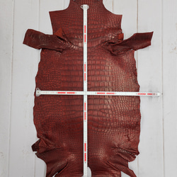 ワニ革　クレイフィニッシュ　レッドブラウン　No.C009301 6枚目の画像