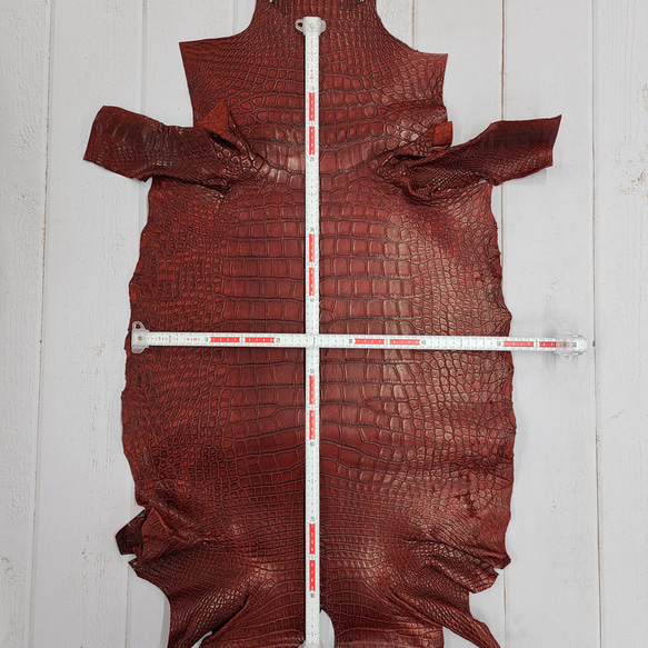 ワニ革　クレイフィニッシュ　レッドブラウン　No.C009301 6枚目の画像