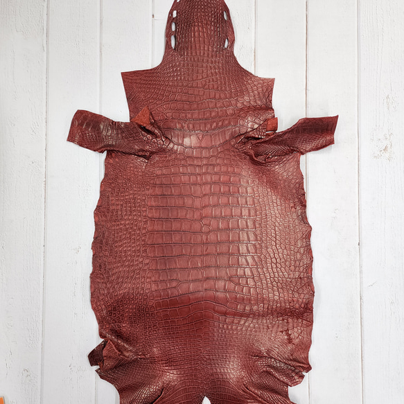 ワニ革　クレイフィニッシュ　レッドブラウン　No.C009301 1枚目の画像