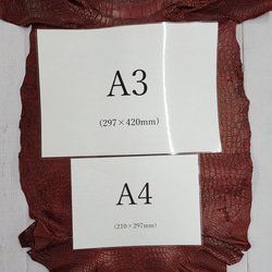 ワニ革　クレイフィニッシュ　レッドブラウン　No.C009301 8枚目の画像