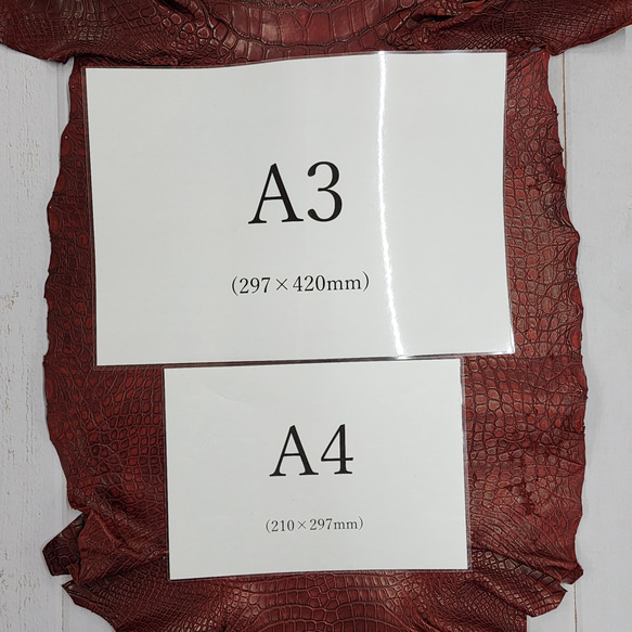 ワニ革　クレイフィニッシュ　レッドブラウン　No.C009301 8枚目の画像