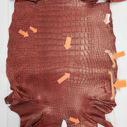 ワニ革　クレイフィニッシュ　レッドブラウン　No.C009301 10枚目の画像