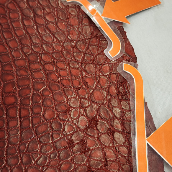 ワニ革　クレイフィニッシュ　レッドブラウン　No.C009301 15枚目の画像