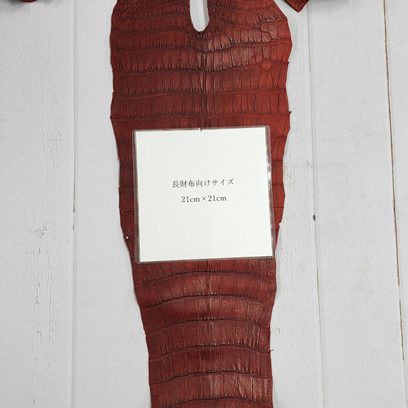 ワニ革　クレイフィニッシュ　レッドブラウン　No.C009302 9枚目の画像