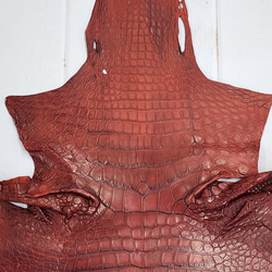 ワニ革　クレイフィニッシュ　レッドブラウン　No.C009302 3枚目の画像