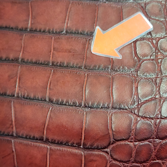 ワニ革　クレイフィニッシュ　レッドブラウン　No.C009302 14枚目の画像