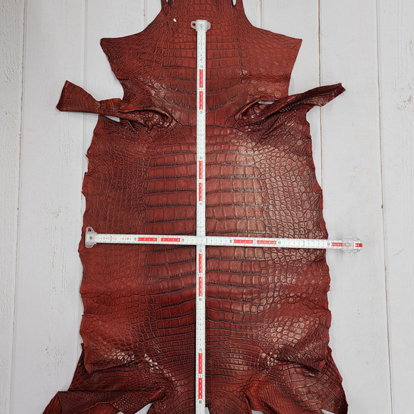 ワニ革　クレイフィニッシュ　レッドブラウン　No.C009302 6枚目の画像