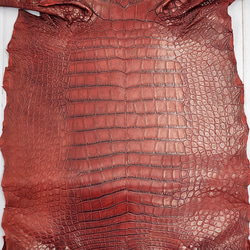 ワニ革　クレイフィニッシュ　レッドブラウン　No.C009302 4枚目の画像