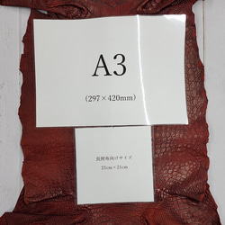 ワニ革　クレイフィニッシュ　レッドブラウン　No.C009302 8枚目の画像