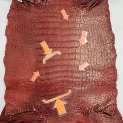 ワニ革　クレイフィニッシュ　レッドブラウン　No.C009302 10枚目の画像