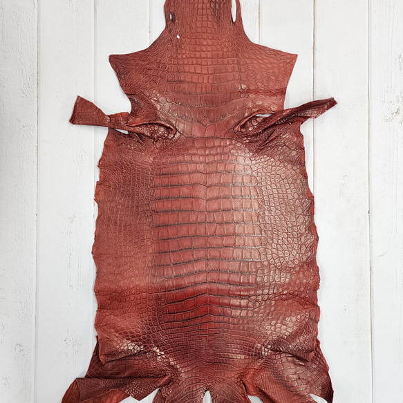ワニ革　クレイフィニッシュ　レッドブラウン　No.C009302 1枚目の画像