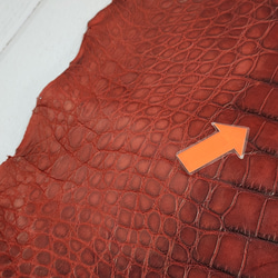 ワニ革　クレイフィニッシュ　レッドブラウン　No.C009302 16枚目の画像