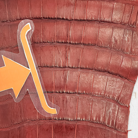 ワニ革　クレイフィニッシュ　レッドブラウン　No.C009302 19枚目の画像