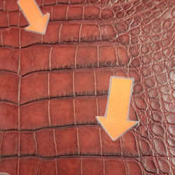 ワニ革　クレイフィニッシュ　レッドブラウン　No.C009302 11枚目の画像