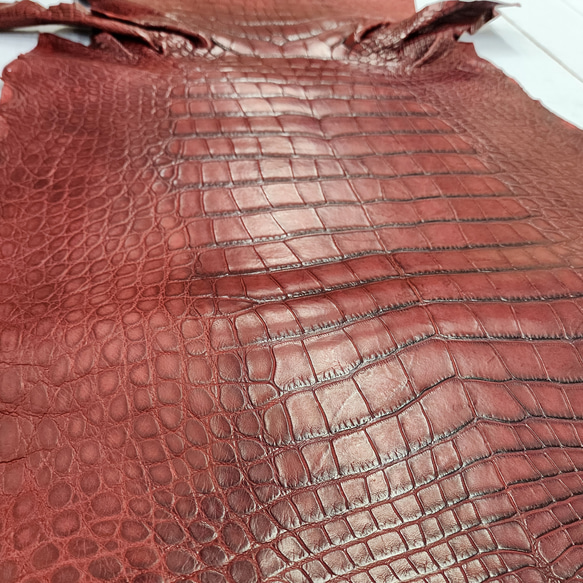 ワニ革　クレイフィニッシュ　レッドブラウン　No.C009302 20枚目の画像