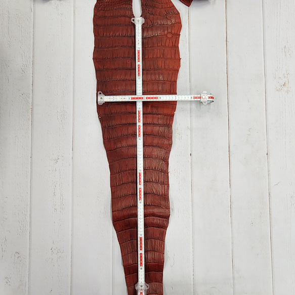 ワニ革　クレイフィニッシュ　レッドブラウン　No.C009302 7枚目の画像