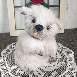 MIXわんこ 33cm ／ テディベアタイプの犬のぬいぐるみ ぬいぐるみ