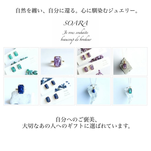  第14張的照片