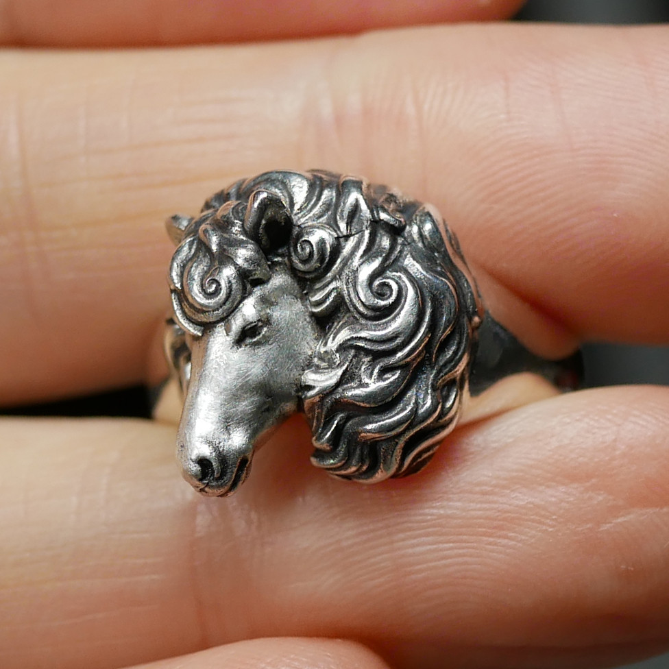 Horse ring（馬リング）