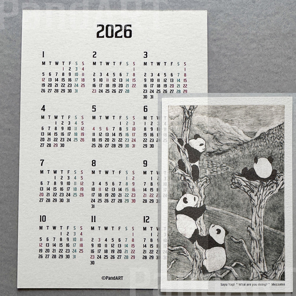 パンダの年間カレンダー2026 ポストカードサイズ 八木彩佑 「What are you doing ?」 1枚目の画像