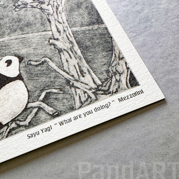 パンダの年間カレンダー2026 ポストカードサイズ 八木彩佑 「What are you doing ?」 4枚目の画像