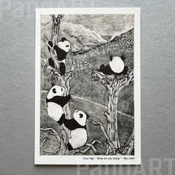 パンダの年間カレンダー2026 ポストカードサイズ 八木彩佑 「What are you doing ?」 2枚目の画像