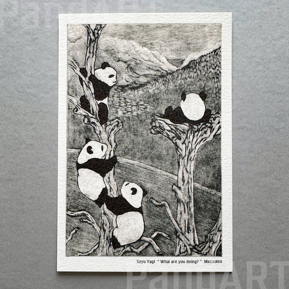 パンダの年間カレンダー2026 ポストカードサイズ 八木彩佑 「What are you doing ?」 2枚目の画像