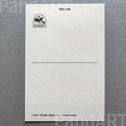 パンダのポストカード 八木彩佑 「雪見熊猫」 銅版画作品プリント 3枚目の画像