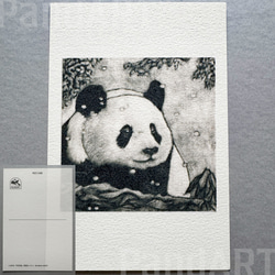 パンダのポストカード 八木彩佑 「雪見熊猫」 銅版画作品プリント 1枚目の画像
