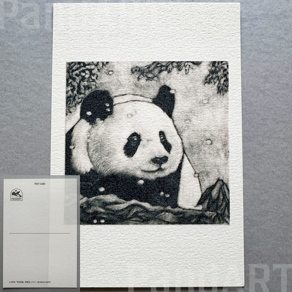 パンダのポストカード 八木彩佑 「雪見熊猫」 銅版画作品プリント 1枚目の画像
