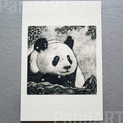 パンダのポストカード 八木彩佑 「雪見熊猫」 銅版画作品プリント 2枚目の画像