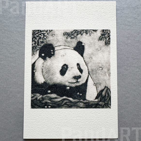 パンダのポストカード 八木彩佑 「雪見熊猫」 銅版画作品プリント 2枚目の画像