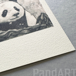パンダのポストカード 八木彩佑 「雪見熊猫」 銅版画作品プリント 4枚目の画像