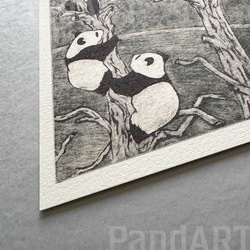 パンダのポストカード 八木彩佑 「What are you doing ?」 銅版画作品プリント 4枚目の画像