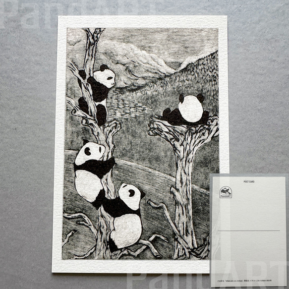 パンダのポストカード 八木彩佑 「What are you doing ?」 銅版画作品プリント 1枚目の画像
